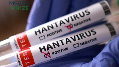 Hantavirüsün ilk belirtileri neler? Sessiz başlıyor, hayati tehlikeye dönüşebiliyor!