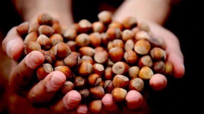 Ticaret Borsalarında Son 8 Ayda 298 Bin Tonun Üzerinde Fındık İşlem Gördü