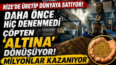 Rize'de üretip dünyaya satıyor! Daha önce hiç denenmedi, çöpten 'altına' dönüşüyor, milyonlar kazanıyor
