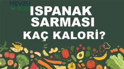 Ispanak Sarması kaç kalori? Ispanak Sarmasının besin değeri nedir?