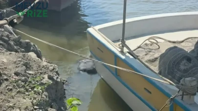 Hatay'da Denizde Erkek Cezedi Keşfedildi!