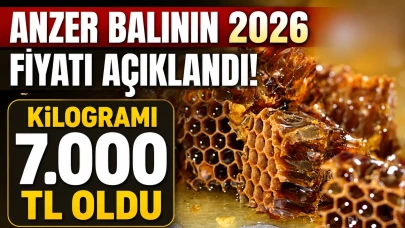 Anzer Balının 2026 Fiyatı Açıklandı: Kilogramı 7 Bin TL Oldu