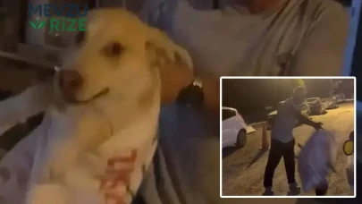 Hatay'da Sokak Hayvanlarına Yönelik İnsafsızlık: Çuvalda Bulunan Köpek Vatandaşlar Tarafından Kurtarıldı