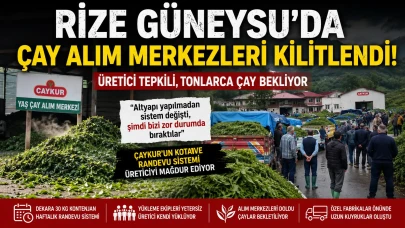 Güneysu’da Yaş Çay Krizi: Alım Merkezlerinde Yığılma, Üreticiler Tepkili