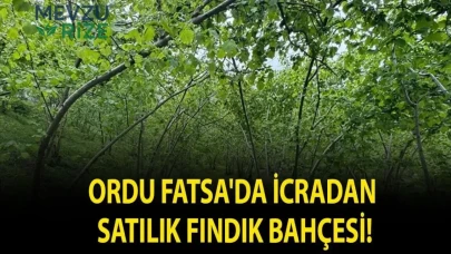 "Fatsa'da İcradan Fırsat: Satışa Çıkan Fındık Bahçesi!"