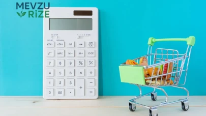 TÜİK 2025 hanehalkı tüketim harcaması verilerini açıkladı : Bütçede en büyük pay konut ve kiraya gitti