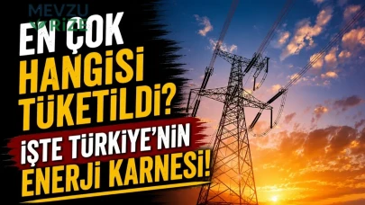 En çok hangisi tüketildi? İşte Türkiye'nin enerji karnesi!