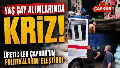 Yaş Çay Alımlarında Kriz: Üreticiler ÇAYKUR’un Politikalarını Eleştirdi