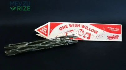 Korku Filmi 'Obsession' ile One Wish Willow, İnternette Patlama Yaptı!