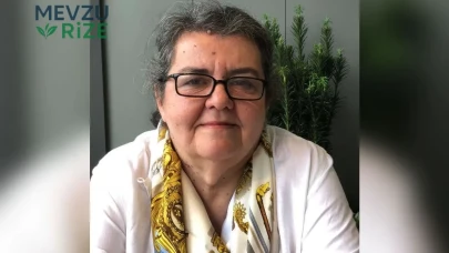 Dr. Hülya Arı kimdir, neden öldü? İTÜ Mimarlık Bölümü'nün acı vefatı
