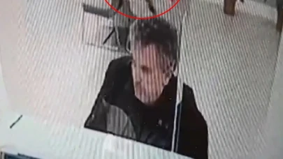 Kediler Banka İşlemlerine Damga Vurdu: Müşterinin Üzerine Düşen Kedinin Hikayesi!