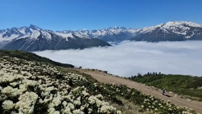 Kaçkar Dağları'nın Görkemi: Yaylalar Çiçeklerle Doldurdu!