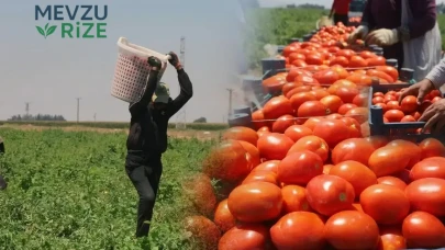 Yıldız Sıcaklar Altında Çalışan İşçilerden Fiyat Artışlarına Sert Tepki: Tarladan Sofraya Eşya Değeri Değişti!