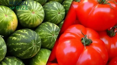 İstanbullular Haziran Ayında Karpuz ve Domatesle Sofralarını Şenlendirdi
