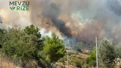 Kumluca'daki Orman Yangını Kontrol Altına Alındı: Antalya Yangınla Mücadele Ekipleri Başarılı Oldu