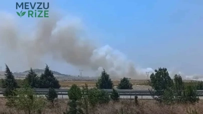 Balıkesir'deki Yangın Ormanlık Alanı Tehdit Ediyor!