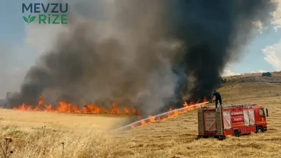 Diyarbakır'da Yangın Alarmı: İki Aylık Sürede 100 Bin Hektar Arazi Tehlike Altında, İzinler Askıya Alındı!