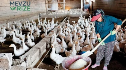 Hobisini Aile Çiftliğine Dönüştüren Girişimci: Yeni Bir Tarım Hikayesi Başlıyor!