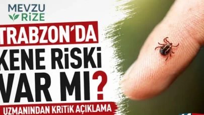 Trabzon'da Kene Tehdidi Hakkında Uzmanlar Uyarıyor