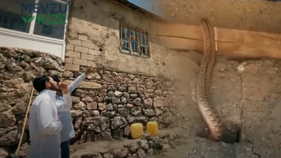 Kapıyı açarken bile tedirgin oluyorlar! Evlerini yılanlar ele geçirdi