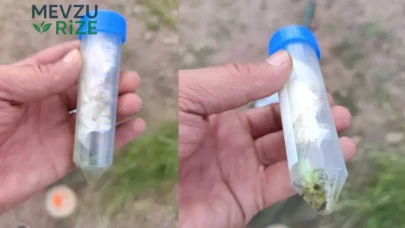 Doğa Katillerine Ağır Ceza: Nesli Tehdit Altındaki Bitkileri Koparanlar Pişman Olacak!