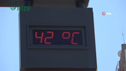 Adana'da Termometreler Tavan Yaptı: Sıcaklık 42 Dereceye Ulaştı!