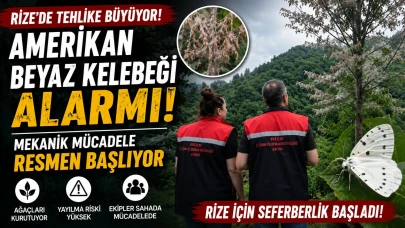 Rize'de Amerikan Beyaz Kelebeği Alarmı! Mekanik Mücadele Başlıyor