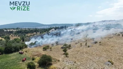 Muğla'da Alevlerle Mücadele: Orman Yangını Kontrol Altına Alınmaya Çalışılıyor