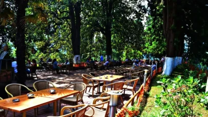 ÇAYKUR Ziraat Botanik Çay Bahçesi Yerli ve Yabancı Turistlerin Gözdesi