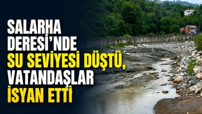 Rize'deki Salarha Deresi'nde su azalması endişe yarattı, HES'ler suçlanıyor