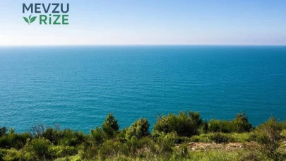 Karadeniz Bölgesi'nde İklim Değişikliği Tehlikesi: Sel Tehditleri Artıyor!