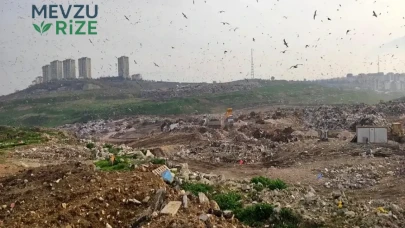 Doğayı Tehdit Edenlere Ağır Ceza: 2 Milyar 43 Milyon Lira ile Çevre Kirliliğine Dur Denildi