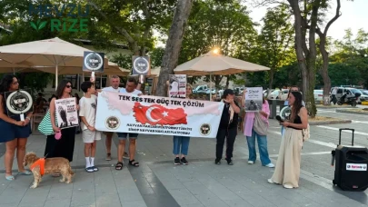 Barınaklardaki Durum Ne? Şeffaflık İçin Halk Denetimi Talepleri Artıyor