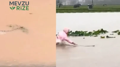 Çin'de Sel Felaketi Sonrası 900 Zehirli Yılan Serbest Kaldı!