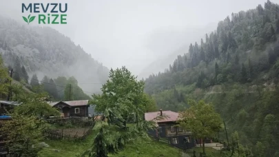 Türkiye'nin en serin 3 yaylası! Yazın sıcağından kaçanlar buraya akın ediyor