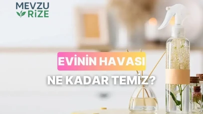 Evinizdeki Hava Kalitesinin Önemi: Ne Kadar Temiz Olmalı?