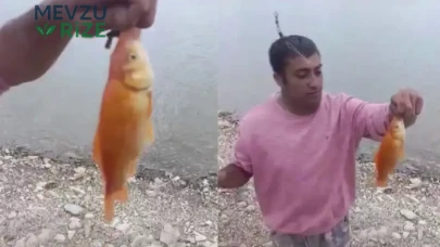 Hayalleri suya düştü! 'Altın balığı' yakaladığını düşündüğü an herkesin gözlerini kamaştırdı