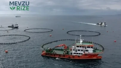 Karadeniz Bölgesi’nin Su Ürünleri İhracatı 2023 Yılının İlk Yarısında 186 Milyon Dolara Ulaştı!
