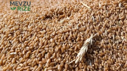 Buğday Fiyatları Zirveye Ulaşarak Sofraları Tehdit Ediyor: Yeni Bir Zam Dalgası Kapıda mı?
