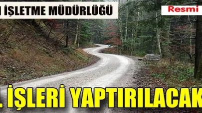 Orman Yolları Büyük Onarım Yapım İşi