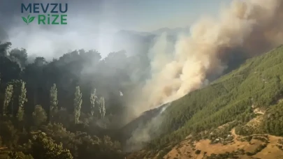 Muğla Seydikemer'de Orman Yangını Kontrol Altına Alındı: Son Gelişmeler Neler?