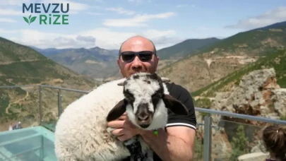 Gümüşhane'nin Cam Seyir Terasında Eğlenceli Bir Ziyaretçi!