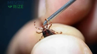 Sivas’ta KKKA Şüphesiyle Tedavi Gören Kadın Hayatını Kaybetti