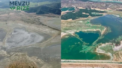 Çölleşmiş Doğa Harikası Yeniden Hayat Buldu: 137 Tür Yeniden Sığınak Buldu!