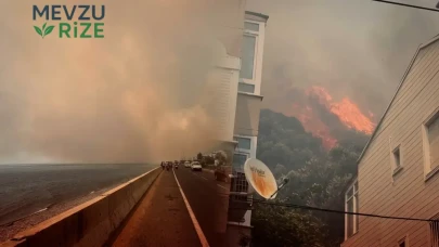 Kazdağları'nda Yangın Alarmı: Altınoluk'ta Orman Yangınına Hızlı Müdahale Gerçekleşti