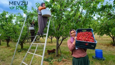 Tarım Sektörü Daralırken İhracatta Rekorlar Kırılıyor: Tekellerin Kazancı Artıyor!