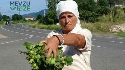 Yerli Tatilcilerin Tercihi: Kilogramı 200 TL'den Satılan Yeni Gözde Ürün!