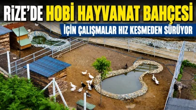 Rize'de Hobi Hayvanat Bahçesi İçin Çalışmalar Hız Kesmeden Sürüyor