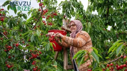 Bahçede Bereket, Hüsran Niteliğinde Kazanç Olmadı!