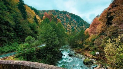 Cennete Yolculuk: Rize
